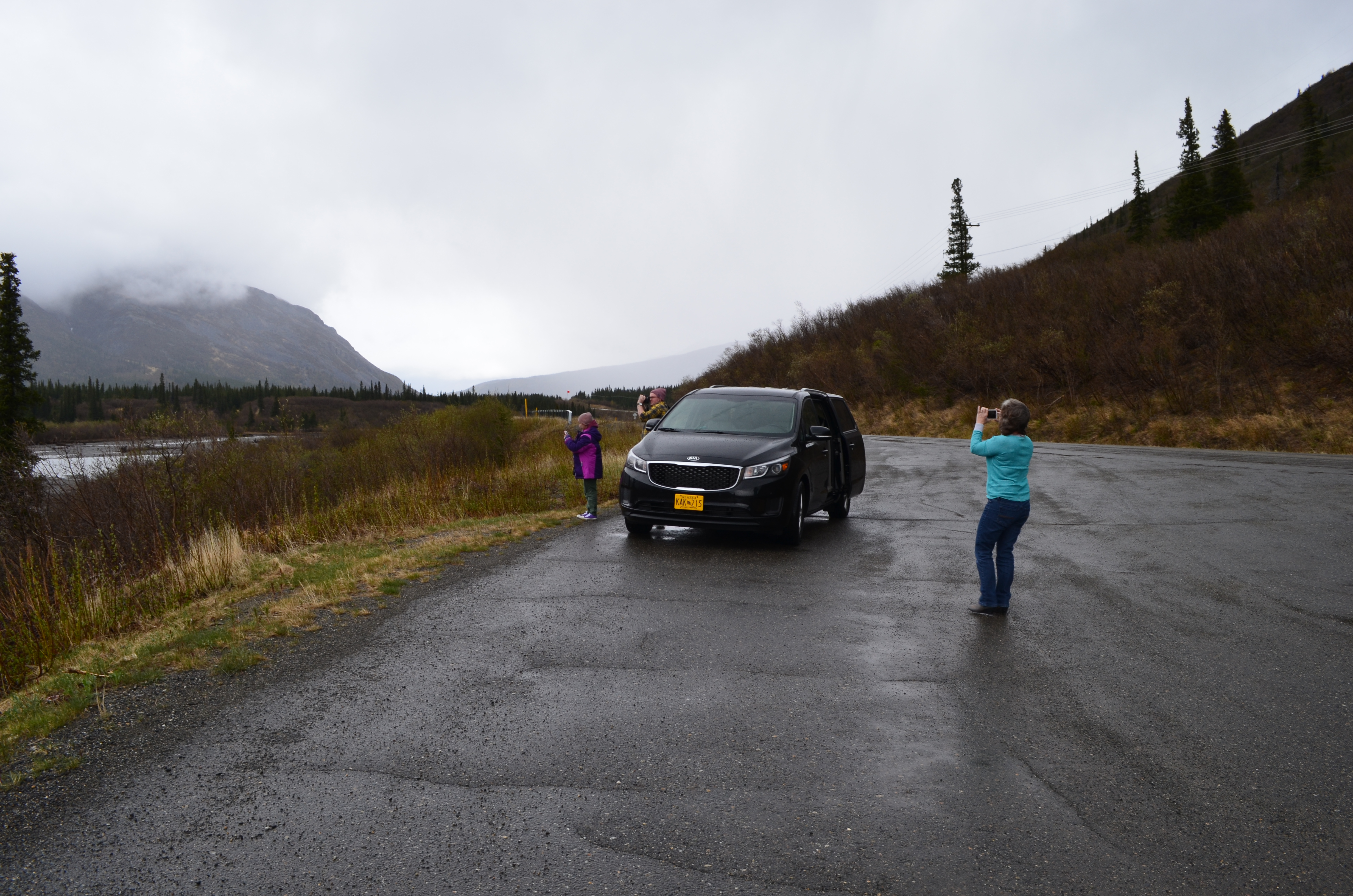 ./2017/08 - Alaska Cruise/03 - Denali/DSC_0115.JPG